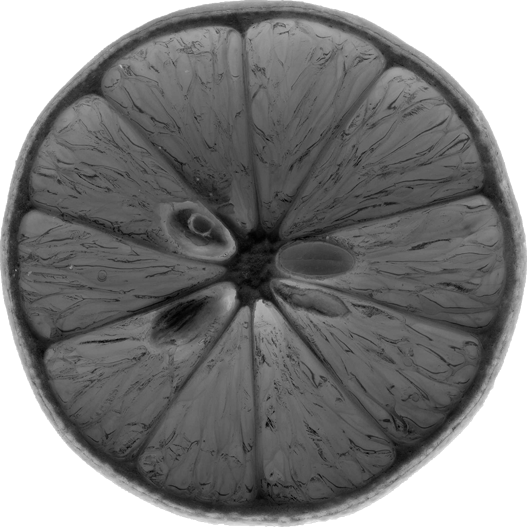 Black Fruit Studios Logo